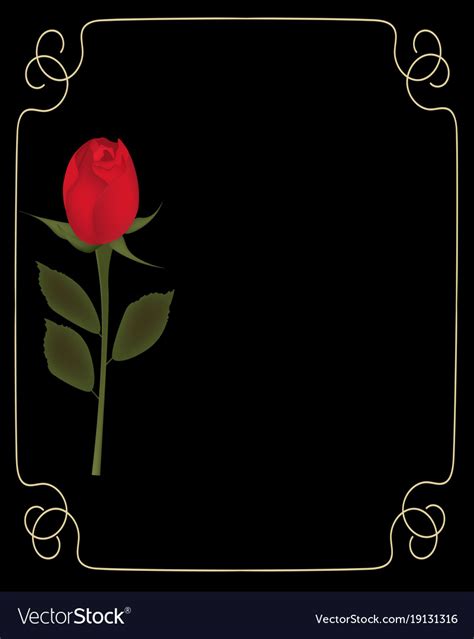 Red rose on black background with golden frame Vector Image