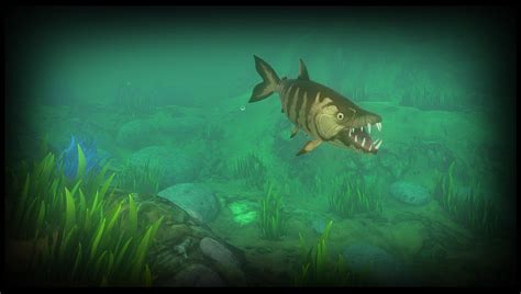 Feed and grow fish - firmlana