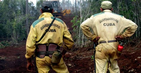 Dan Por Controlado El Gran Incendio Forestal En La Zona Montañosa De