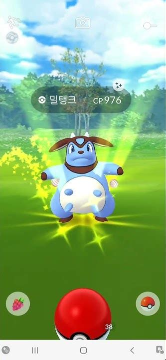 pokemon pokemongo youtube