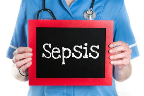 Apa Tanda Dan Gejala Sepsis Kenali Gejalanya Disini Meditrans Global