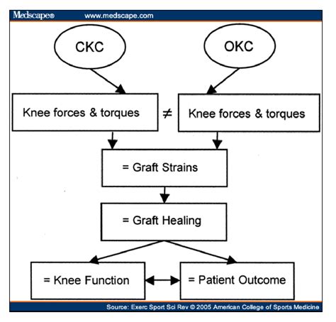 Open Or Closed Kinetic Chain Exercises After Anterior Cruciate