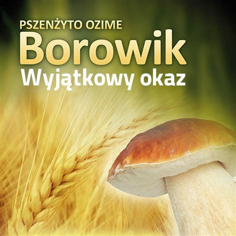 Borowik Hodowla Ro Lin Strzelce Grupa Ihar Tworzymy Post P W Rolnictwie