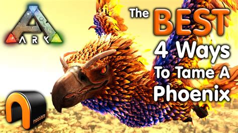 Ark The Best Ways To Tame A Phoenix How To Tame A Phoenix Solo Ark