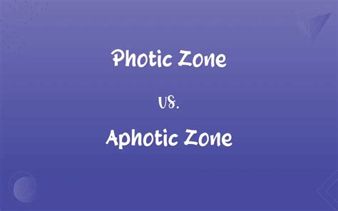 Photic Zone vs. Aphotic Zone: What’s the Difference?