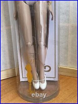 Robert Tonner 16 Inch Basic Blonde Tyler Wentworth Doll In Original Container Tonner Tyler