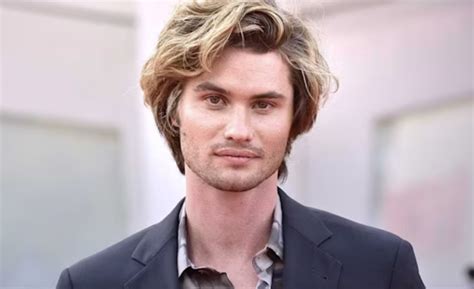 cody stokes dive bomb net worth