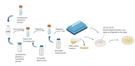 Cbsalife Workshop Culturing Bacteria Growing Bacteria And