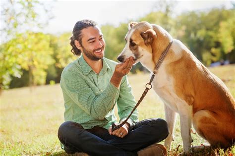 Como Educar Un Perro Como Educar A Un Cachorro 50 Consejos Para