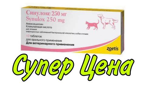 Synulox (Синулокс) 250 мг (10 таблеток) для собак і кішок, ціна 215 грн ...