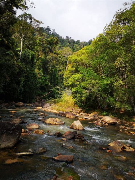 Taman Negara Johor Endau Rompin