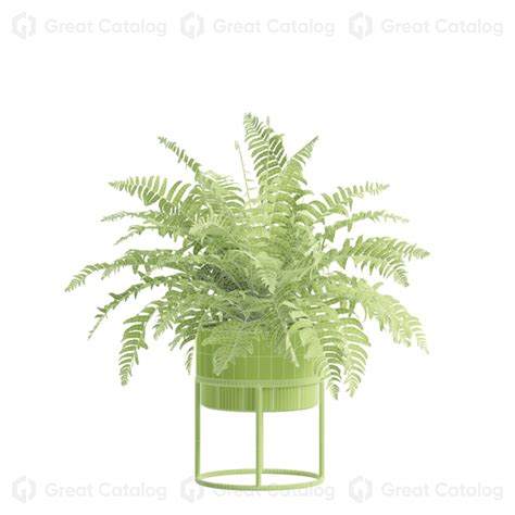 Растения в горшках Indoor Pack 80 3D модель - GreatCatalog 73933