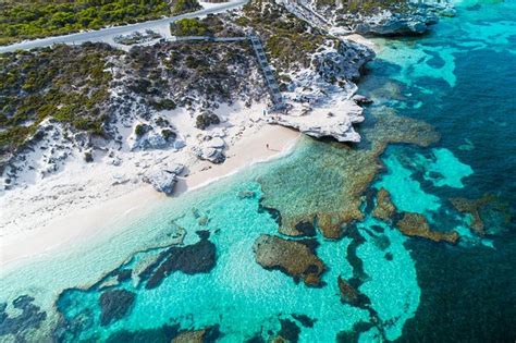 Rottnest Island Round Trip Ferry From Perth Or Fremantle Compare