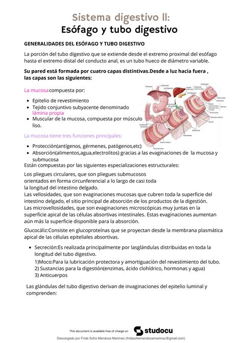 Solution Sistema Digestivo Resumen Ross Histologia Texto Y Atlas