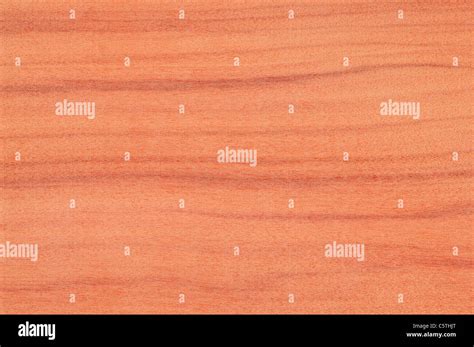 aspidosperma peroba  res stock photography  images alamy