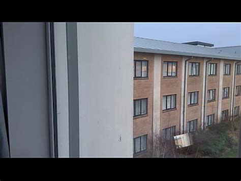 Polla Parpadeante XVIDEOS