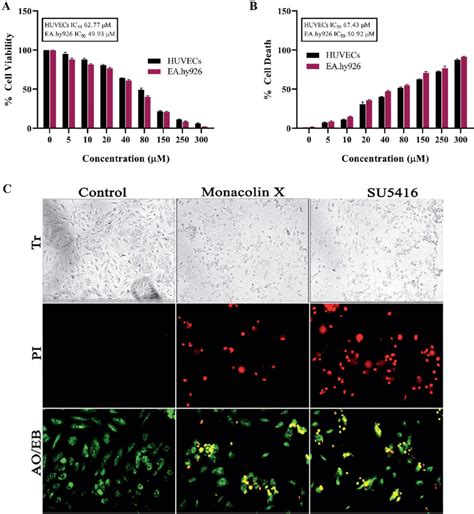 A Represents Wst Assay To Check For Antiproliferative And Cytotoxic