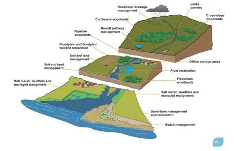 catchment diagram - Flood Risk Management