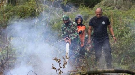 Luas Lahan Terbakar Di Aceh Capai Hektare Suarasumut Id