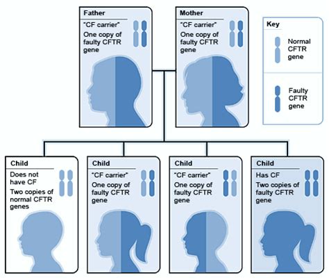 Genetics of Cystic Fibrosis