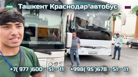 8) Ташкент-Краснодар автобус | Краснодар-Ташкент автобус | Krasnodar ...