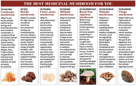 Medicinal Mushrooms 7 Types And Their Health Benefits Women S Fitness