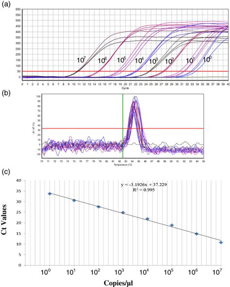 The Detection Limit And Standard Curve Of Real Time Rt Pcr Assay Based