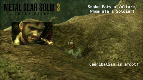 Unforgettable Gaming Moment Snake Feasts On A Human Eating Vulture In