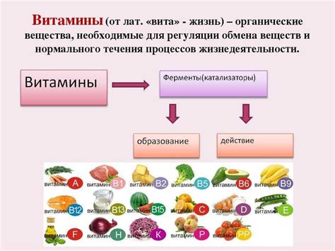 Ферменты, витамины. тесты с ответами по биохимии для студентов