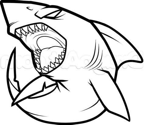 Shark Drawing Easy | Free download on ClipArtMag