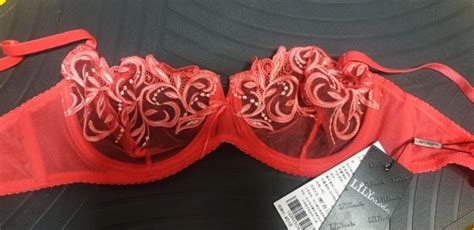 FREE SHIPPING Women Sexy Hot Erotic Transparent Lingerie Ultrathin Bra Brief Set Lace Embroidery