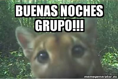 Meme Personalizado Buenas Noches Grupo