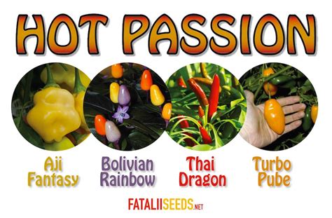 Hot Passion Seed Kit Fatalii Seeds