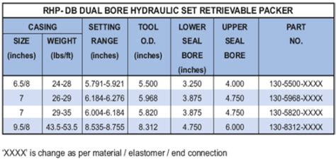 Rhp Db Dual Bore Hydraulic Set Retrievable Packer Oil Gas Field