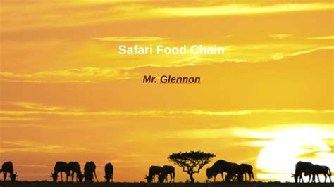 Safari Food Chain by Jacob Glennon