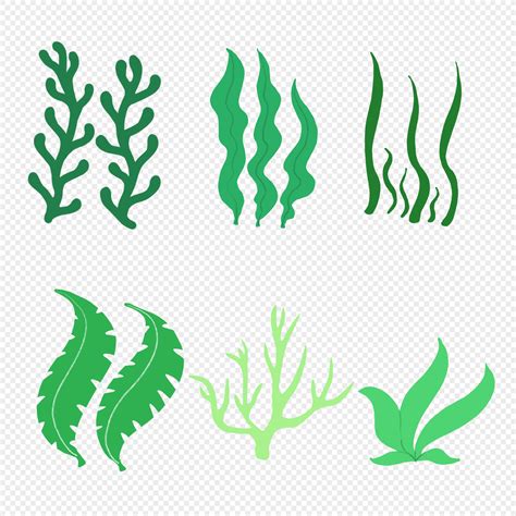 Algas Marinhas Para Imprimir - Desenho De Algas Marinhas Para Imprimir - RETOEDU