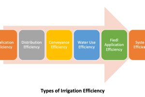 Irrigation Efficiency Definition and Types of Irrigation Efficiency