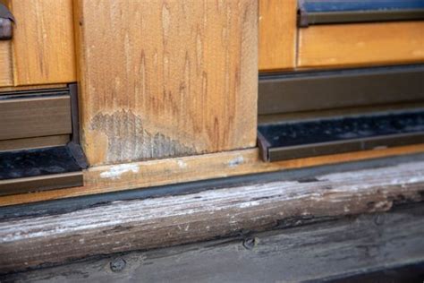 Neue Frische und neuer Glanz für Holzfenster Bauschweiz Das Portal