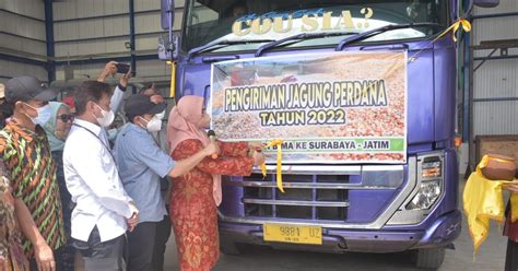 Stabilisasi Harga Kementan Dan Pemda Bima Kirim Jagung Ke Surabaya 2