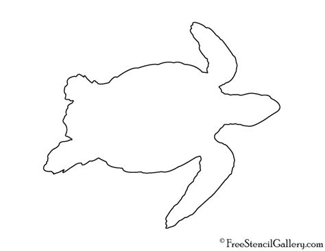 Turtle Outline Drawing At Explore Collection Of