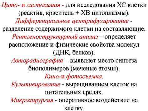 Основы цитологии - презентация онлайн