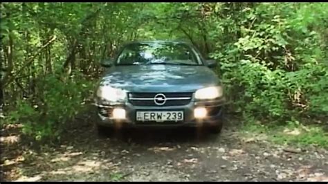 Ass Fucking Ass Fingering In The Forest Anal Porn XHamster