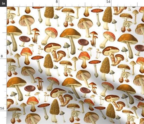 Mushroom Fabric Vintage Botanical Fungus Lg By Etsy