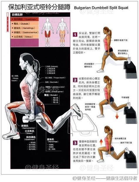 蜜桃臀养成（下） 健身房and居家练臀常用动作之蹲类踢类以及臀中肌的刺激 知乎