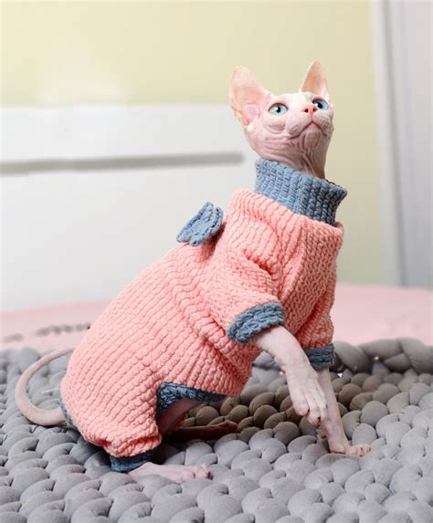 Stay Cozy in Style with Adorable Cat Winter Cloth: Cat Knitted Sweater ...