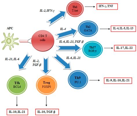 Ijms Special Issue Mechanism Of Action And Applications Of