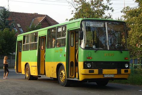 Transport Database And Photogallery Ikarus Public