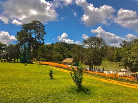 Salsalito Jungle Park - Camping Salsalito Jungle Park- Guia e APP MaCamp