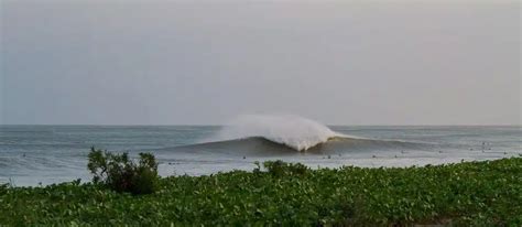 Surfing in Panama: Travel Guide & Best Surf Spots • Sol Bungalows