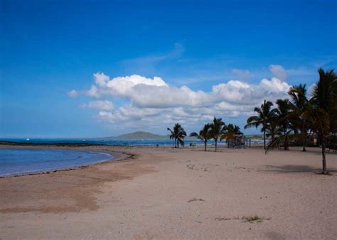 17 Best Galapagos Beaches 8 Islands Photos Snorkeling Wildlife